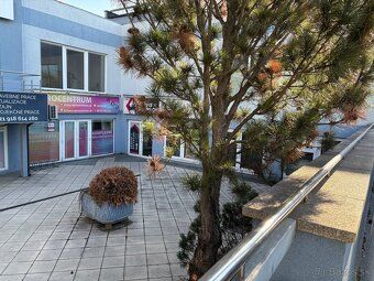 ponukame 200m2 obchodnych priestorov na prenajom. vhodne nap
