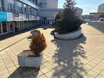 ponukame 200m2 obchodnych priestorov na prenajom. vhodne nap