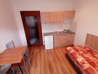 Ponúkam na prenájom priestranný 1-izbový byt v obľúbenej lok