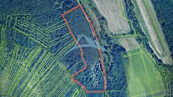 Ponúkame na predaj lesný pozemok o rozlohe 50 728m2 v obci D