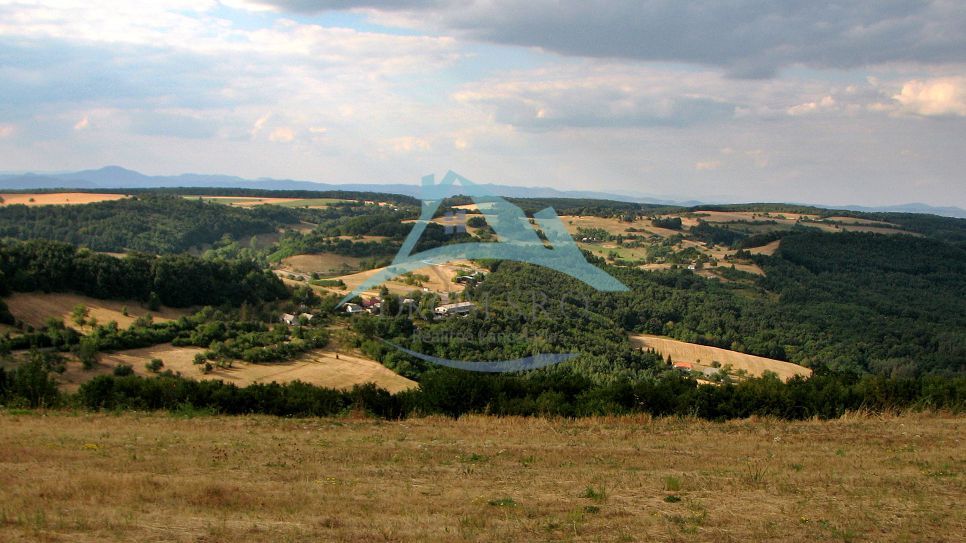 Ponúkame na predaj pozemok v obci Hrušov v okrese Veľký Krtí