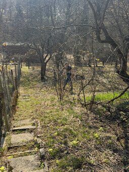 Na predaj slnečná záhrada s chatkou, ovocnými stromami a vin