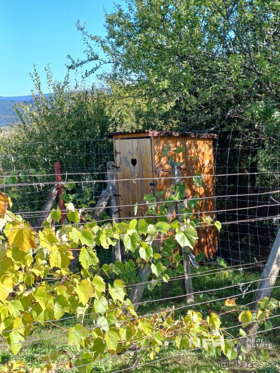 Ponúkame na predaj vinicu v Pukanci o rozlohe 555m2.
Vo vini
