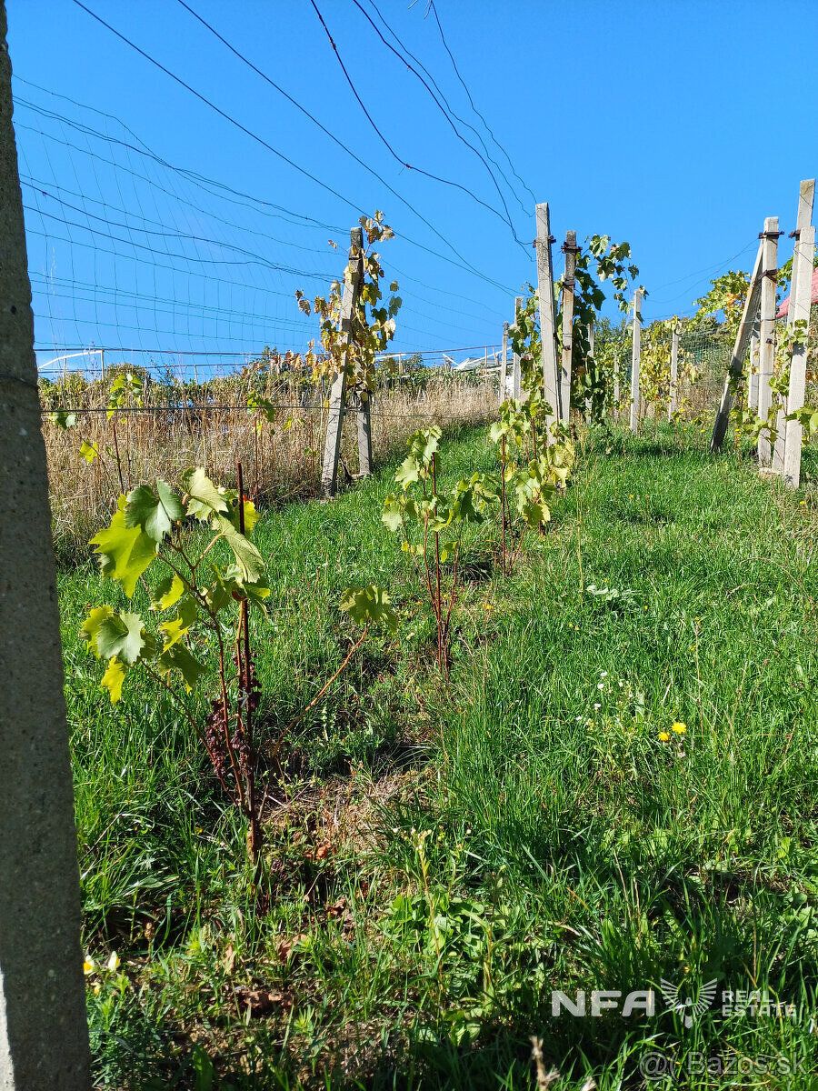Ponúkame na predaj vinicu v Pukanci o rozlohe 555m2.
Vo vini