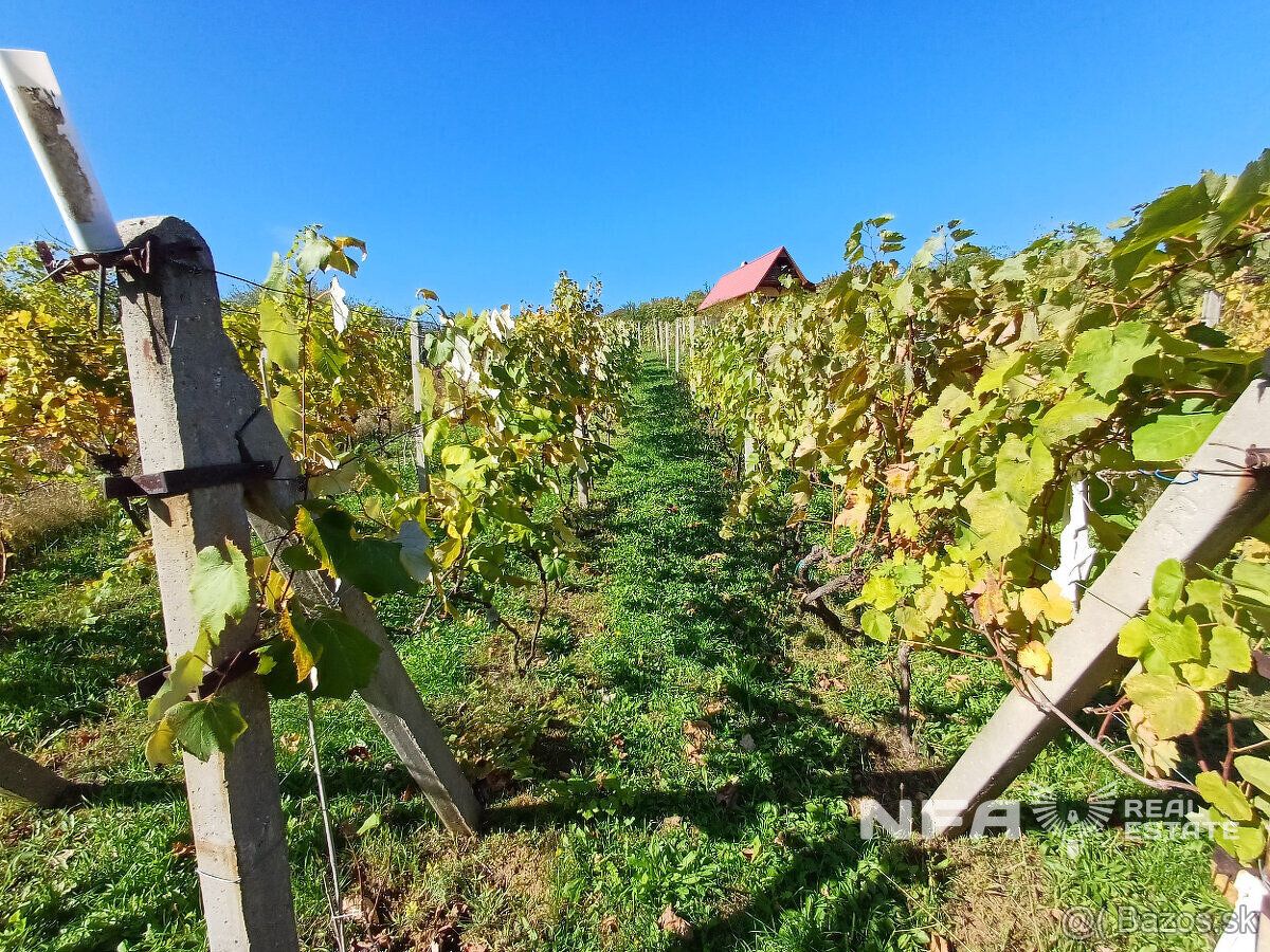 Ponúkame na predaj vinicu v Pukanci o rozlohe 555m2.
Vo vini