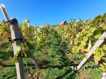 Ponúkame na predaj vinicu v Pukanci o rozlohe 555m2.
Vo vini