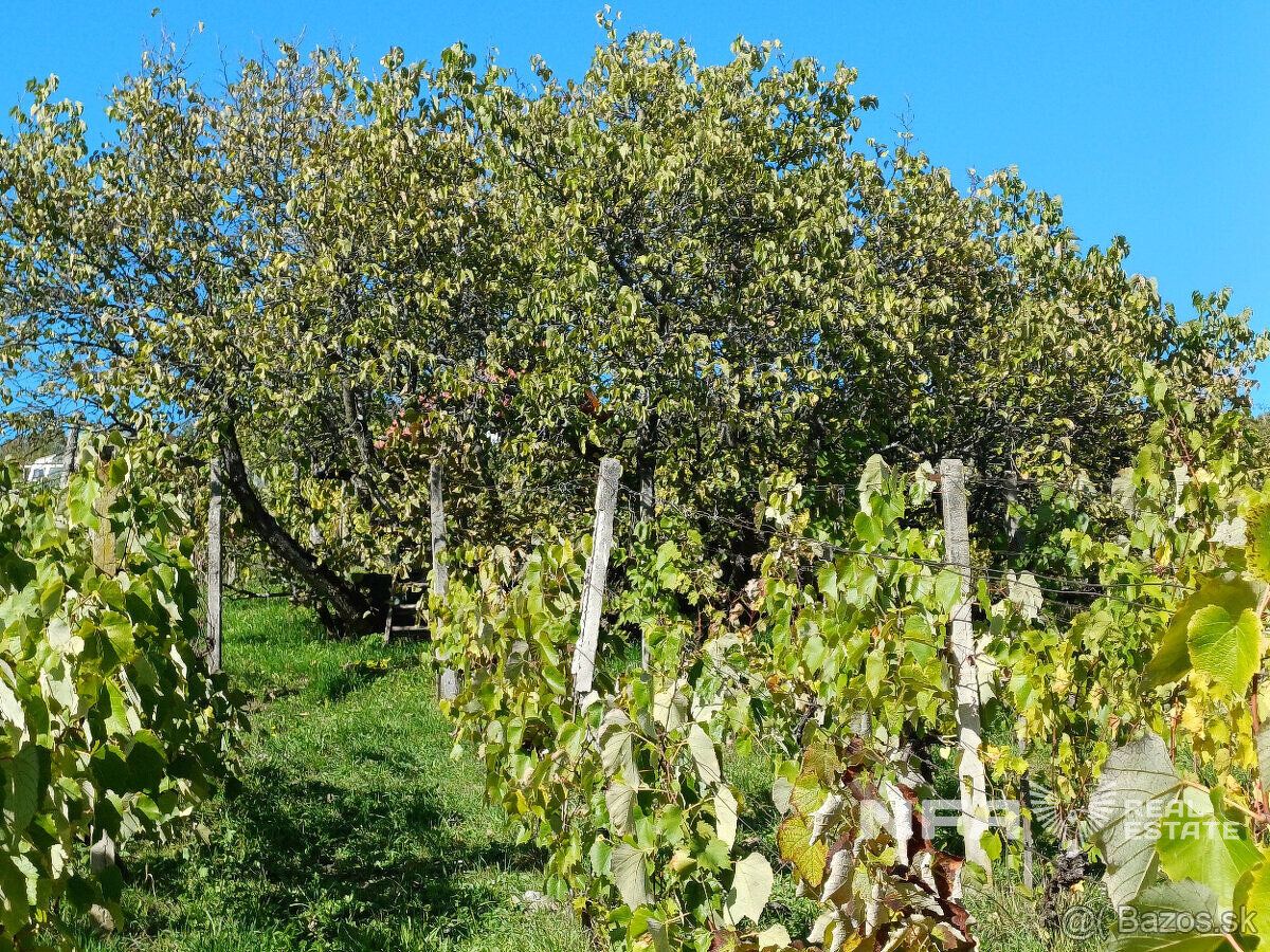 Ponúkame na predaj vinicu v Pukanci o rozlohe 555m2.
Vo vini