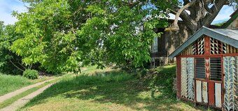 Ponúkam na predaj vinicu nachádzajúcu sa vo vyhľadávanej čas