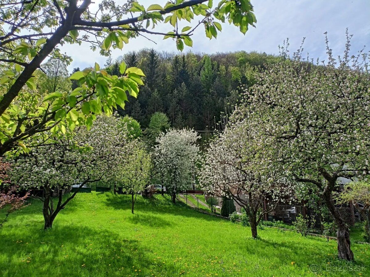 Predám záhradu o výmere 1000 m² s ovocnými stromami a výhľad