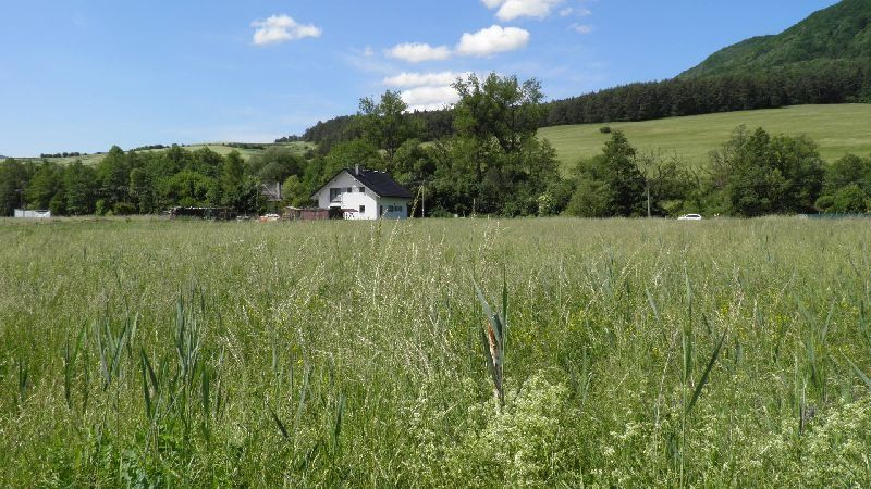 Ponúkame na predaj rovinatý, slnečný pozemok vhodný pod jede