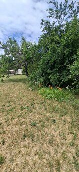 Ponúkame na užívanie záhradu v Novom Meste nad Váhom vo výme