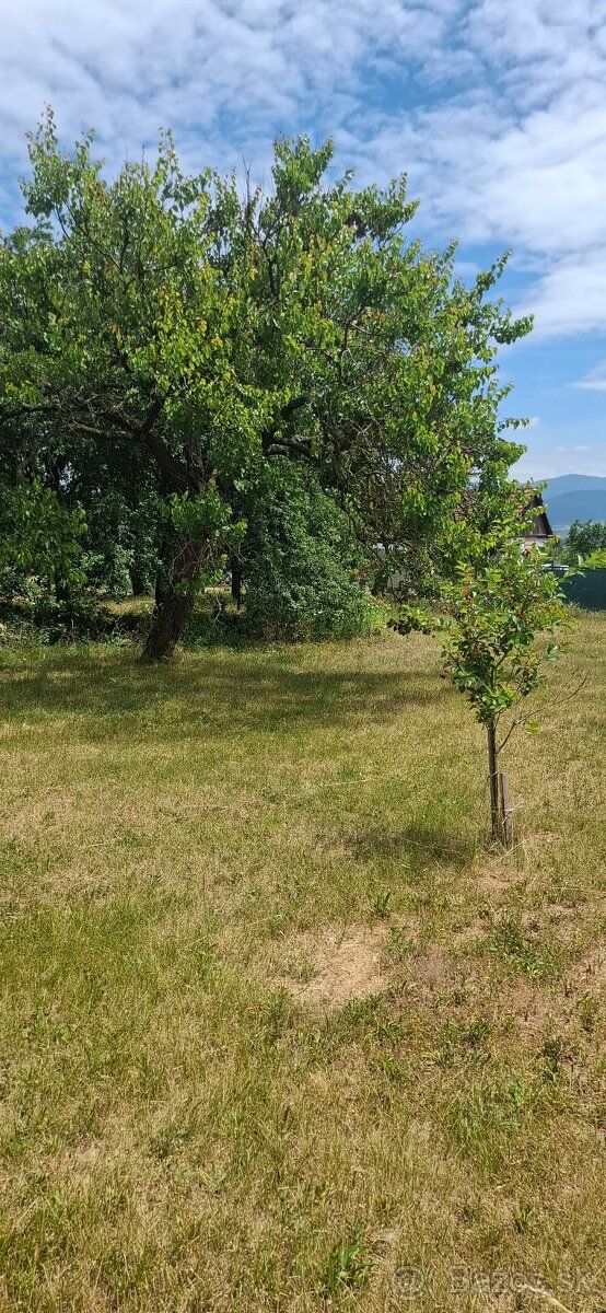 Ponúkame na užívanie záhradu v Novom Meste nad Váhom vo výme