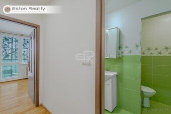 Eston Reality ponúka na dlhodobý prenájom 1-izbový byt v Sab