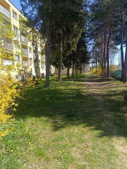 I am renting out a one-bedroom apartment on Okruzna Street near the city center