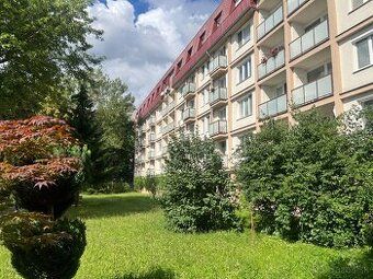 Dám do prenájmu väčší zariadený 3 izbový byt v Piešťanoch. N