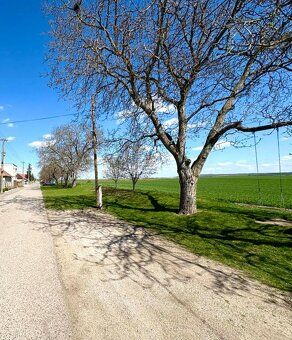 Ponúkame Vám na predaj slnečný a rovinatý pozemok na výstavb
