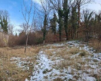ID: 6162
Ponúkame na predaj pozemok na Medvedej hore, Zemplí