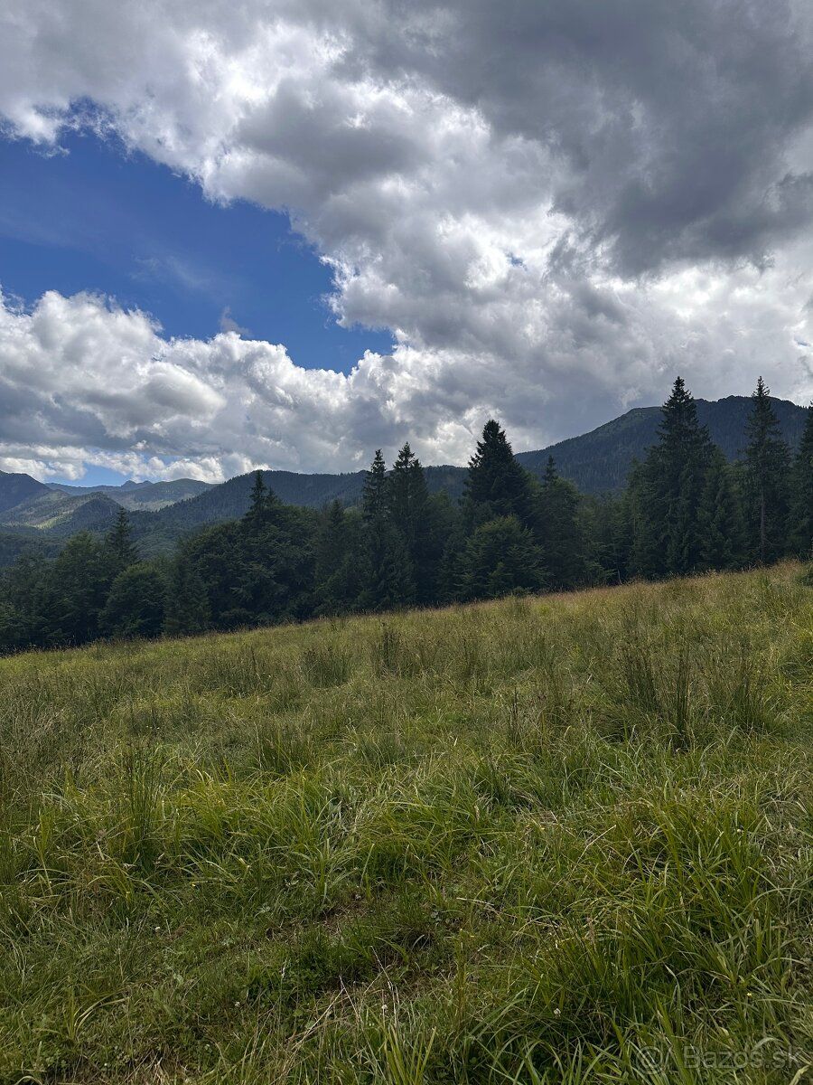 Oravice. Úpätie Západných Tatier. Meander park s geotermálno