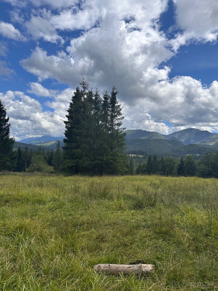 Oravice. Úpätie Západných Tatier. Meander park s geotermálno