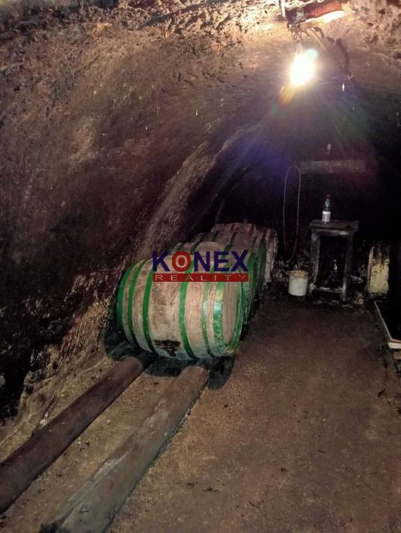 ID:7107
Ponúkame Vám na predaj historickú pivničku vo vinohr