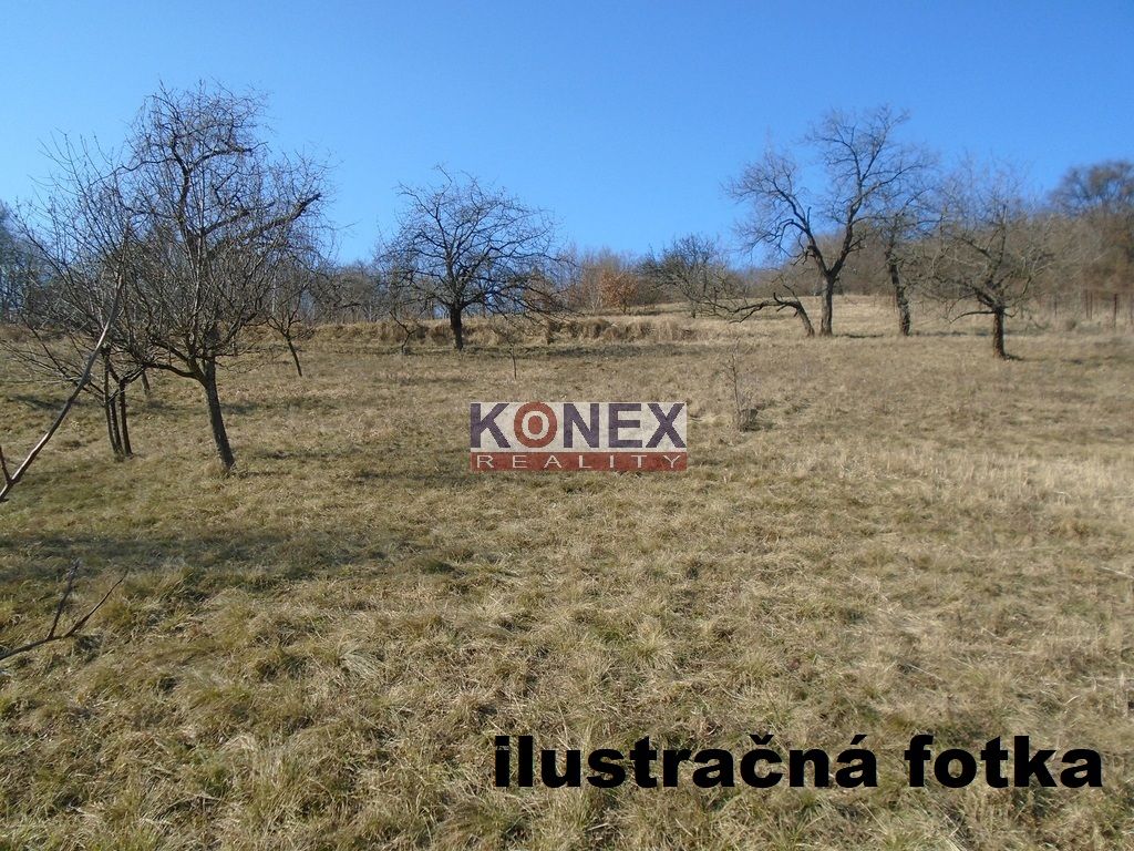 ID:7412
 - pozemok -  evidovaný ako vinica a zastavaná ploch