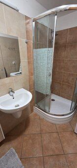 1-bedroom flat with 50 sqm available for rent in Bratislava 