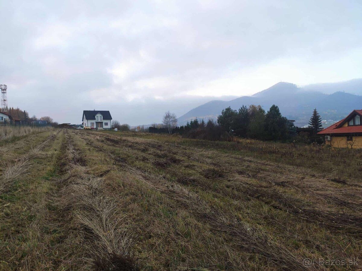 Ulica Ružová Pozemok má rozmery 115 x 15 m Prístupová cesta 
