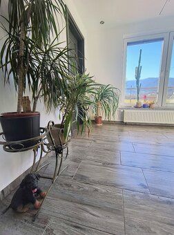Blízko centra mesta
✅ Bazén
✅ Priestranný dom
 ✅VMREALITY po