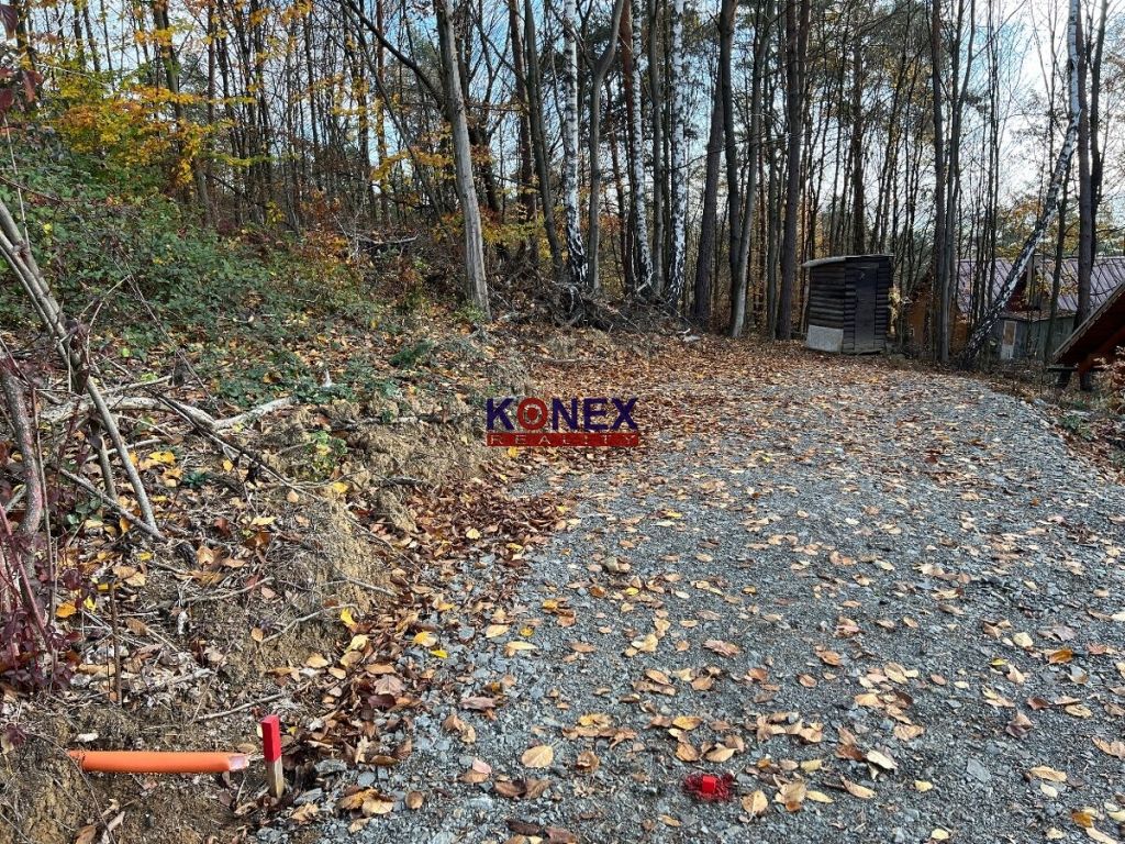 ID:9154
Ponúkame na predaj rekreačný pozemok:
 - mierne svah