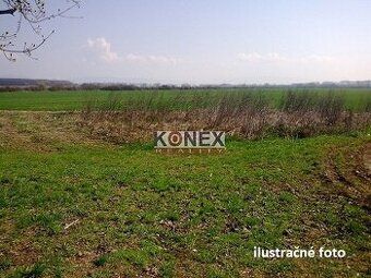 ID:9978
Ponúkame na predaj pozemok v obci Blatné Remety:
 - 