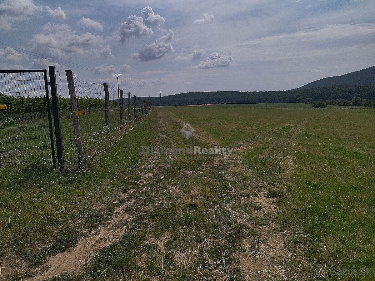 Typ: Pozemok pre rodinné domy Ulica: nemá Obec: Lošonec
Na p