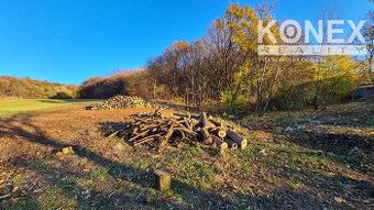 ID:3199 Ponúkame na predaj pozemok na rekreačné využitie v o