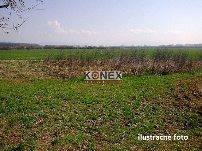 ID:3289
Ponúkame Vám na predaj poľnohospodárske a lesné poze