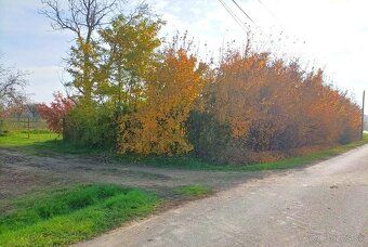 ID:3551
Ponúkame na predaj krásny rovinatý pozemok nachádzaj