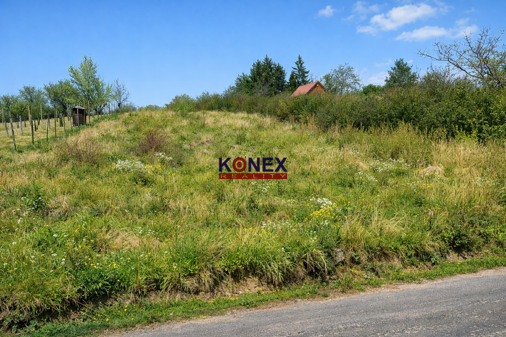 ID:3559
Ponúkame na predaj rekreačný pozemok situovaný v pok