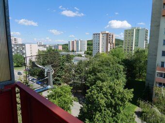 I am renting out a furnished renovated 1-bedroom apartment for responsible and tidy person (no pets)