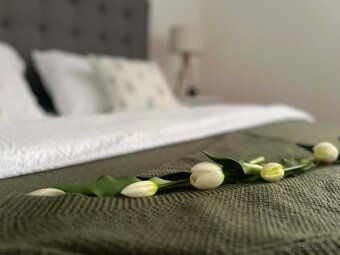 FOR SALE we offer a luxury 3 room apartment with its own heating and hot water supply in Komarno!