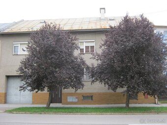 Продам двоповерховий будинок у центрі міста, будинок знаходиться в первісному стані, має всі…