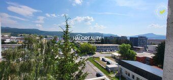 Real Estate Agency HALO Reality and Ing. Viera Šebeňová, contact