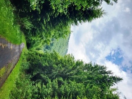 Продаємо 4 земельні ділянки для будівництва дач, придатних для відпочинку.