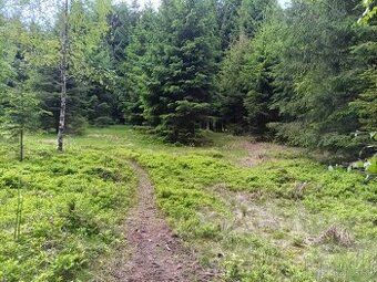 Продам земельну ділянку в місцевості Клокочов – Бігошовці
Пропоную на пр