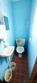Leaders&Partners s.r.o., branch in Senica offers for sale a cottage