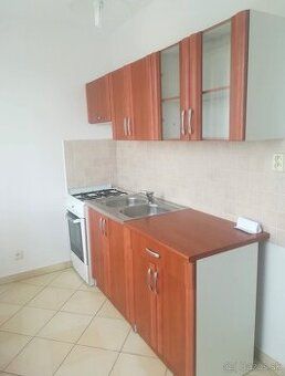 Dám do prenájmu 1 izbový byt ( 46 M2 )na Rádayho ulici na 11