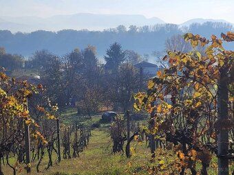 Ексклюзивна пропозиція. Знижена ціна.
Пропонуємо на продаж земельну ділянку 