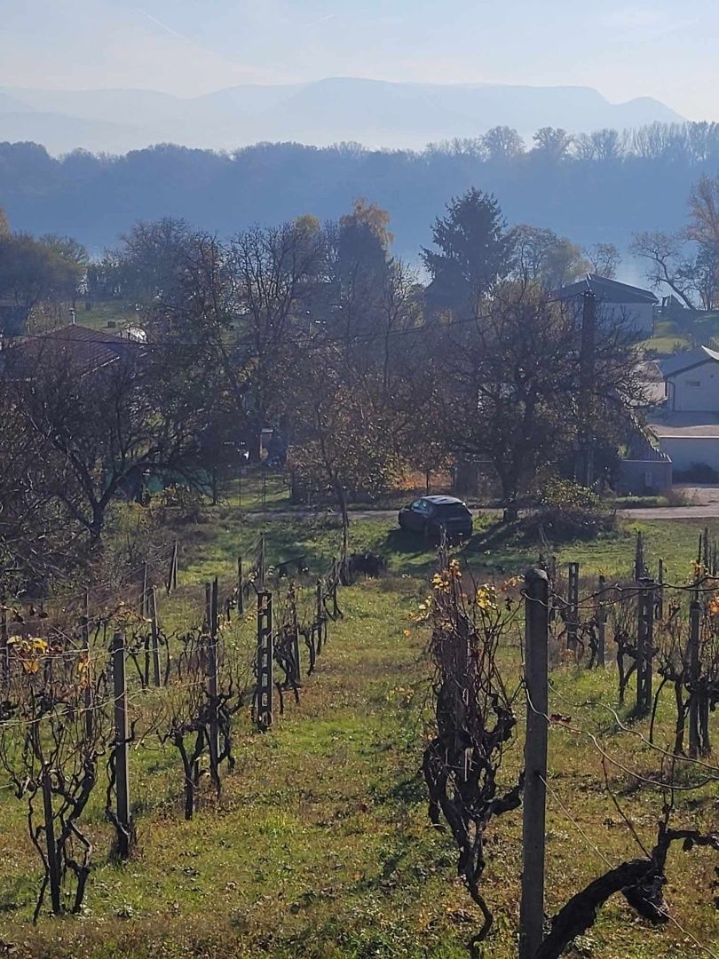 Ексклюзивна пропозиція. Знижена ціна.
Пропонуємо на продаж земельну ділянку 