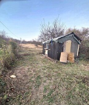 Exkluzívne na predaj ornú pôdu v Štúrove. Rozloha 3634 m2.Ce