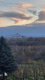 Exkluzívne na predaj ornú pôdu v Štúrove. Rozloha 3634 m2.Ce
