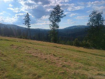 - predame vo Zwardoni 7 000 m2 pozemku. - mierny svah - pri 