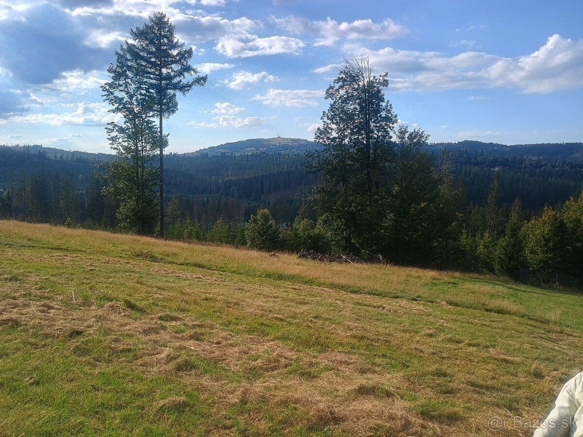 - predame vo Zwardoni 7 000 m2 pozemku. - mierny svah - pri 