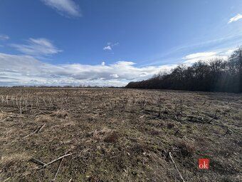Imagine a house in a peaceful, fast-growing location just minutes away from Bratislava.